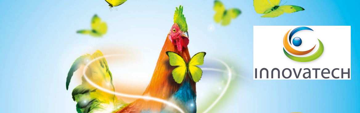 innovatech